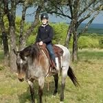 Mary Beth Meier - @marybethmeier - Instagram