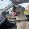 Beth Burmeister - @beth.burmeister - TikTok