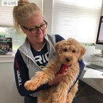 beth melanson - @bmelanson_30 - Instagram