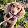 Elizabeth Melcher - @elizabethmelcher1 - TikTok