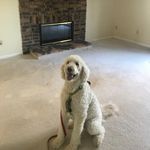 Beth Mellinger - @bethiedreamhouse - Instagram