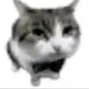 LLLLLLLLLLL - @betmenasxo - TikTok