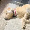 Betsy Mendenhall - @betsymendenhall - TikTok