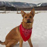 Lizzi Beth Mendenhall - @findleysmom - Instagram