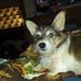 Beth Menefee - Facebook