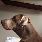 Beth Menezes - Facebook