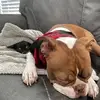 Beth Menton - @beth.menton - TikTok