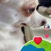 Beth Merced - Facebook