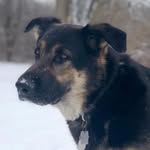 Beth Metz - @beth.metz.10 - Instagram