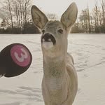 Beth Metz - @wowitsbethimsorry - Instagram