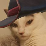 Beth Metzger - @terribletooz - Instagram