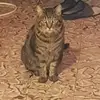Betty Meunier - @betty.meunier - TikTok