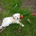 Beth Michaels - Facebook