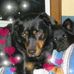 Beth Ann Michel - Facebook
