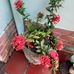 Beth Michel - Facebook