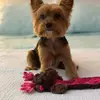 bethmichel527 - @bethmichel527 - TikTok