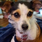 Beth Judkins-Mickolas - Facebook