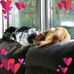 Beth Mikes - Facebook