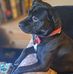 Bethann Milligan - Facebook