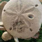 Beth Milliken Barnhart - @betty15370 - Instagram