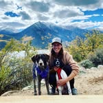 Beth Mincher - @bethmincher - Instagram
