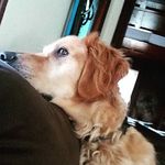 Beth Miner - @bethminer71 - Instagram