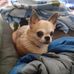 Beth Miner - Facebook