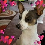 Beth Minton - @beth.mintin - Instagram