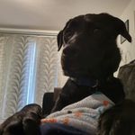 Wendy-Beth Minton - @wendybethminton - Instagram