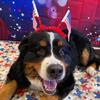 bethmiranda77 - @bethmiranda77 - TikTok