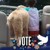 Beth Mize397 - @imidog - TikTok