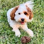 Mary Beth M Mize - @mize2085 - Instagram