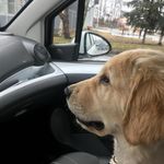 Beth Mobley - @beth.mobley.14 - Instagram
