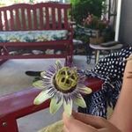 Beth Moeller - @nanamoeller56 - Instagram