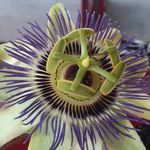 Beth Moeller - @beth.moeller.3 - Instagram