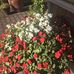 Beth Moeller - Facebook