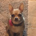 Betsy Graham-Moeller - @bgrahammoeller - Instagram