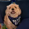 bethmolina4269 - @bethmolina4269 - TikTok