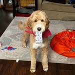 Beth Haracz Molitor - @teachin_withmolitor - Instagram