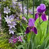 Beth | Garden for Money - @garden.for.money - TikTok