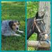 Elizabeth Monnin - Facebook
