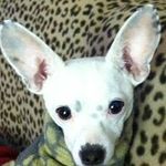 Beth Montano - @tita1of2 - Instagram