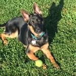 Beth Moorman - @bdmoorman - Instagram