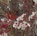 Beth Moorman - Facebook
