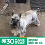 Beth Moreland - @tkdmom78 - Instagram