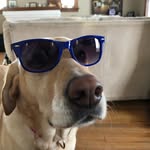 Beth Moreland - @emore4ya - Instagram
