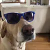 beth.moreland - @its.the.izzyray - TikTok