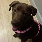 Beth Genette-Morin - @bmorin101 - Instagram