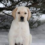 BETH MORIN - @maine.guy.kai - Instagram