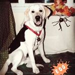 Beth Richards Morin - @bethrichardsmorin - Instagram